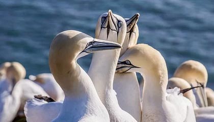 CBOE正在等待美国商品期货交易委员会（CFTC）关于以太坊期货的进一步澄清说明