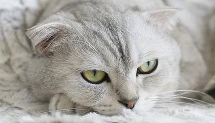 支持多重签名的钱包有哪些？