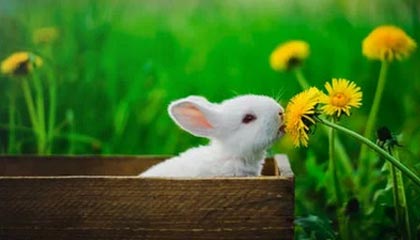 什么是区块链？