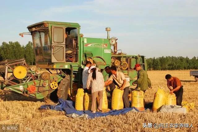如果中国不进口粮食<strong></p>
<p>币安白皮书</strong>，能养活14亿人吗？