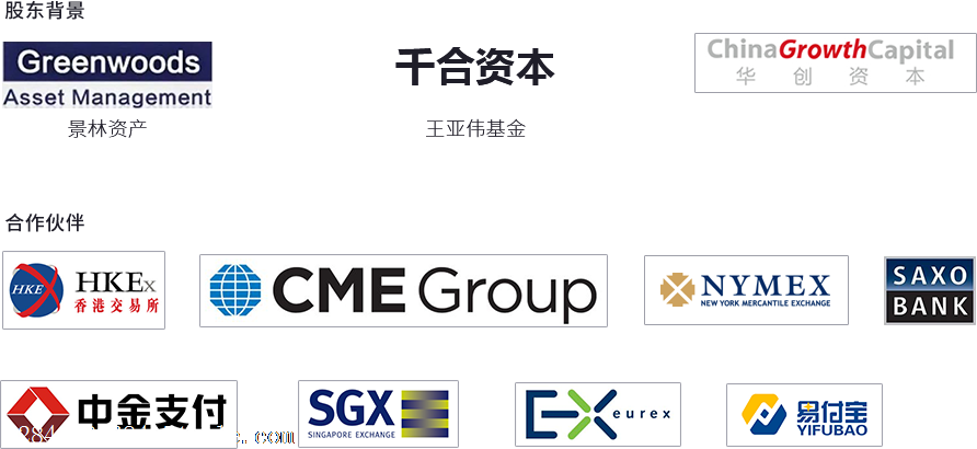 搭建外汇平台(搭建外汇平台非法经营200万)