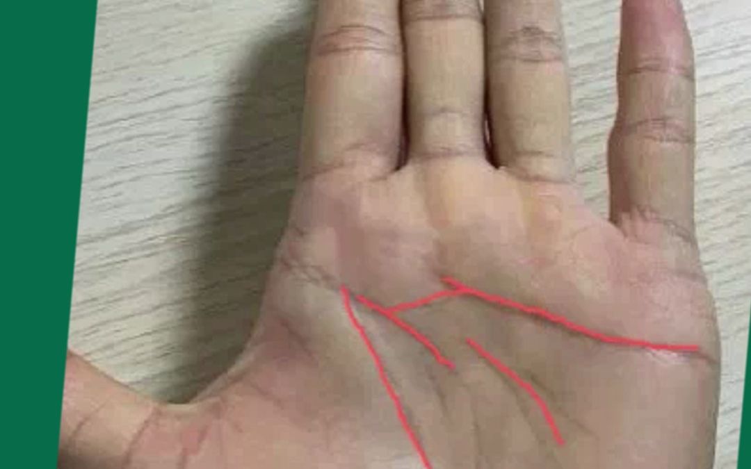 很多理财纹(理财纹图解大全)