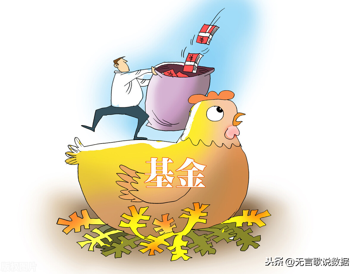 理财这什么(理财什么情况会赔)