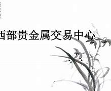 西部贵金属涉案(西部贵金属涉案企业)