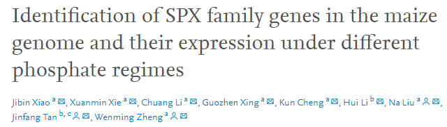 spx(spx自行车是什么牌子)