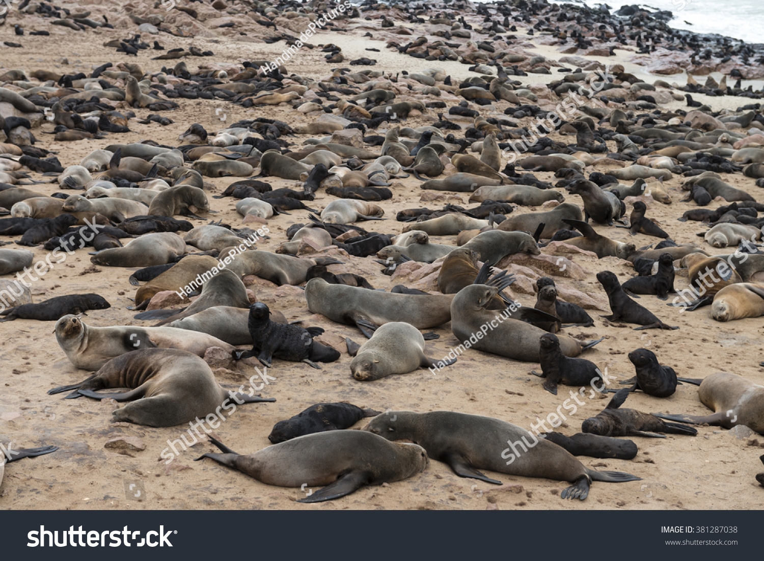 fur(芙蓉楼送辛渐) fur(芙蓉楼送辛渐)