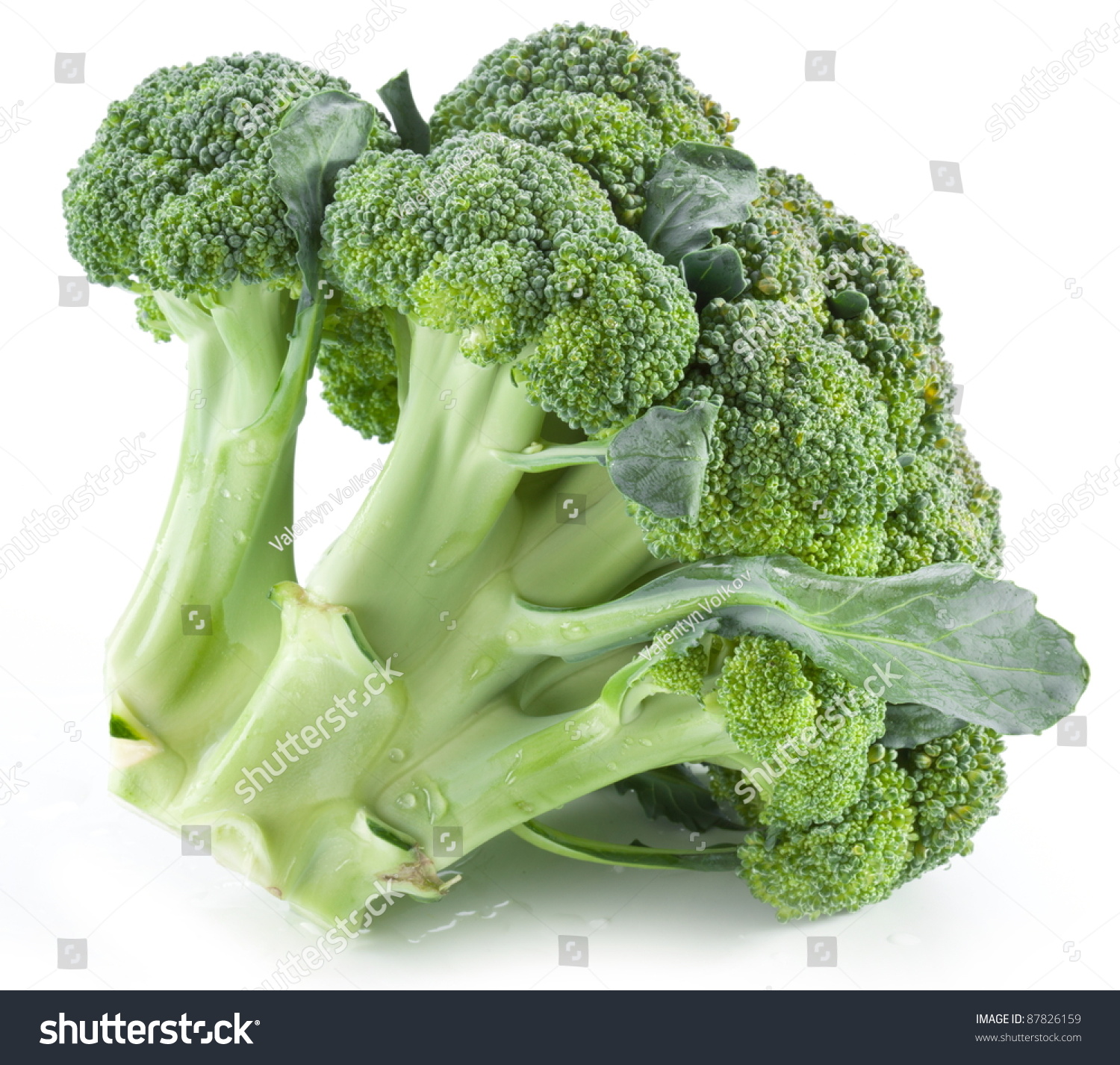 broccoli(broccoli的音标怎么写) broccoli(broccoli的音标怎么写)