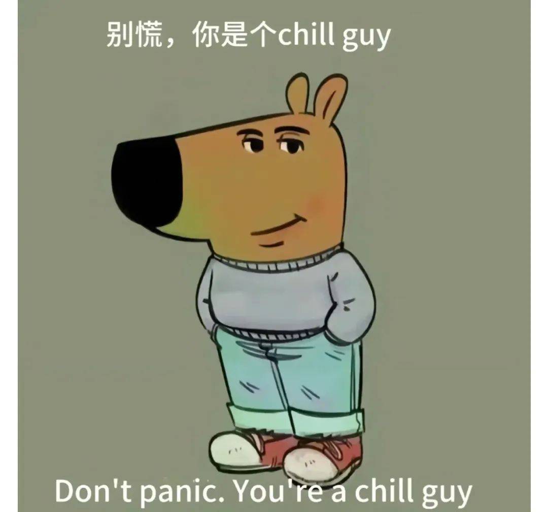 ChillGuy(chillguy图片原图)